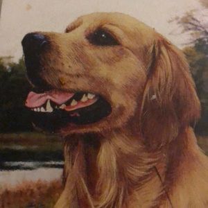 Meet your Posher, Nathan